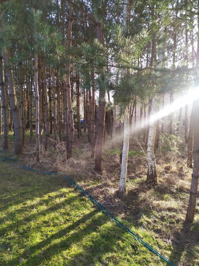 Wiejska Chata U Emili Koszele  Exteriér fotografie